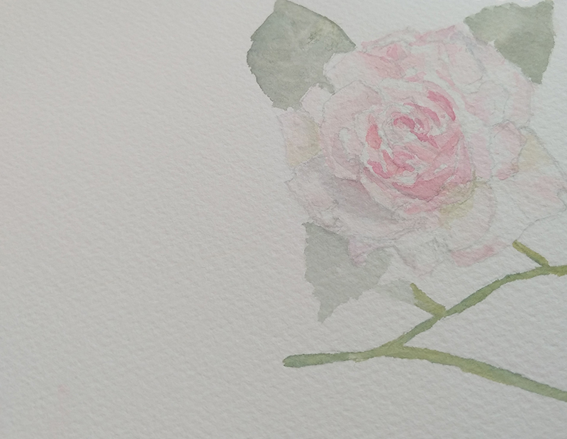 薔薇　いわき学習センター　柳内　翔太